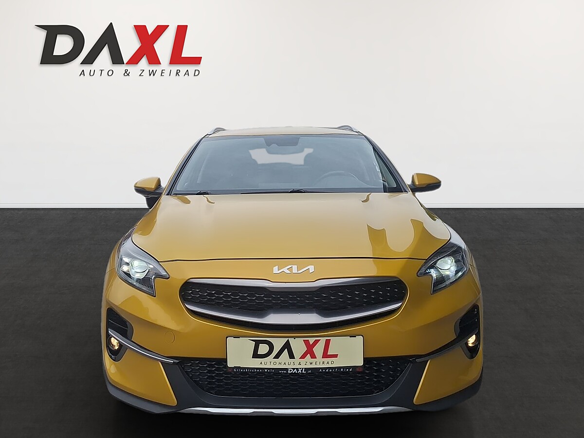 Kia XCeed (MY25) Gold